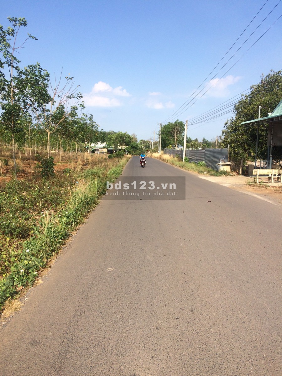 Bán Đất Đường DT 769, Xã Hưng Lộc, KCN Dầu Giây chỉ 7tr/m2, SHR, Full Thổ