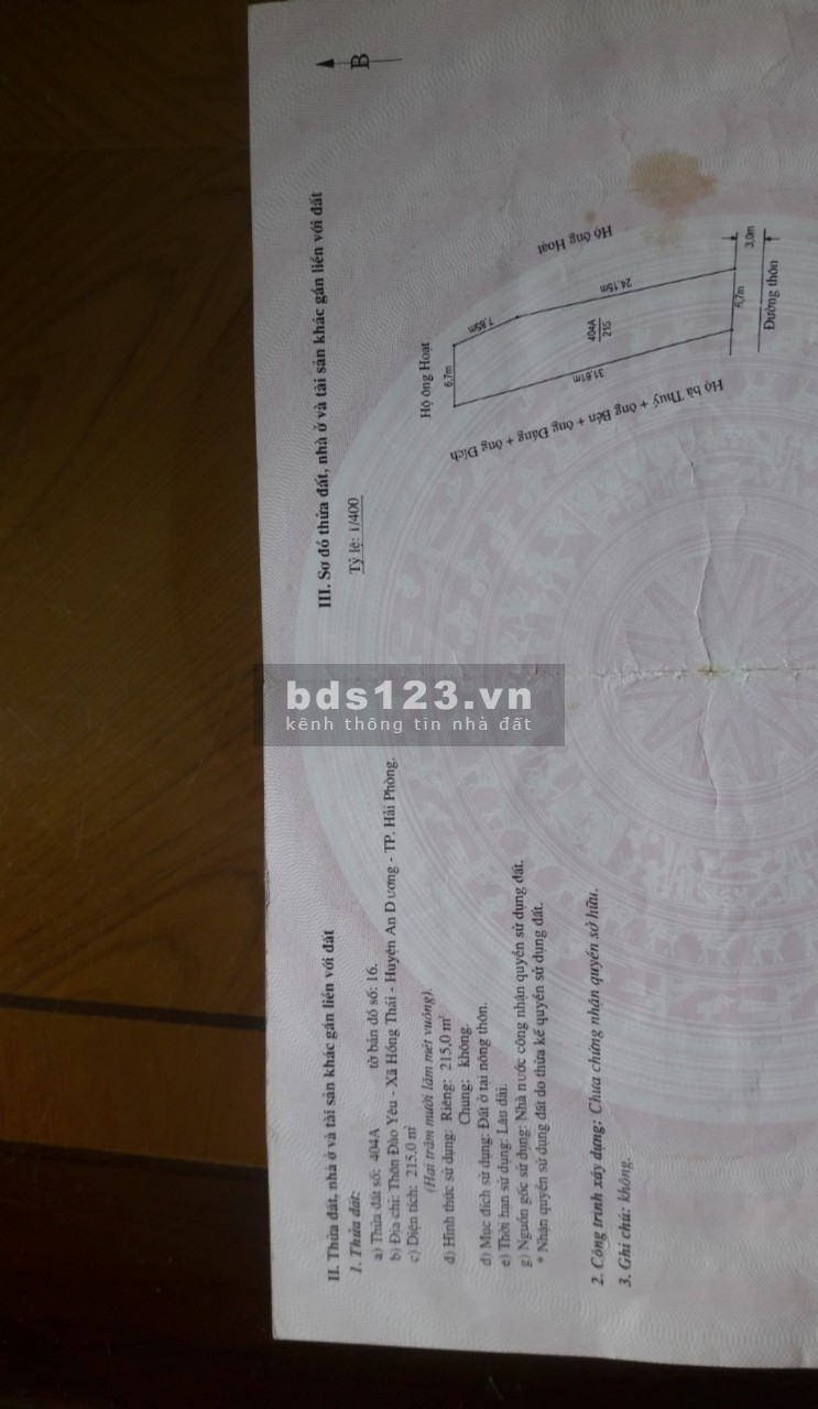 Bán đất tại thôn Đào yêu, xã Hồng Thái, An Dương, Hải Phòng
