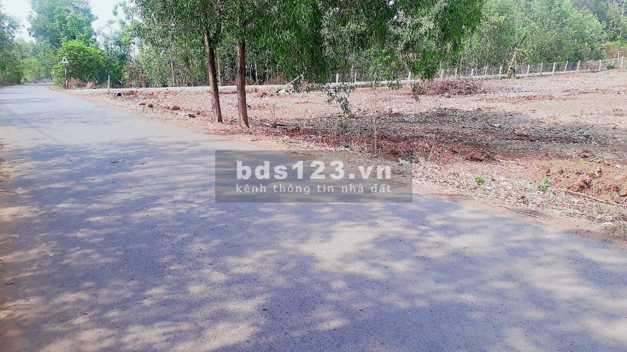 Đất Hiếm ngang 40 dài 40 ngay cổng khu CN phước Bình, SHR