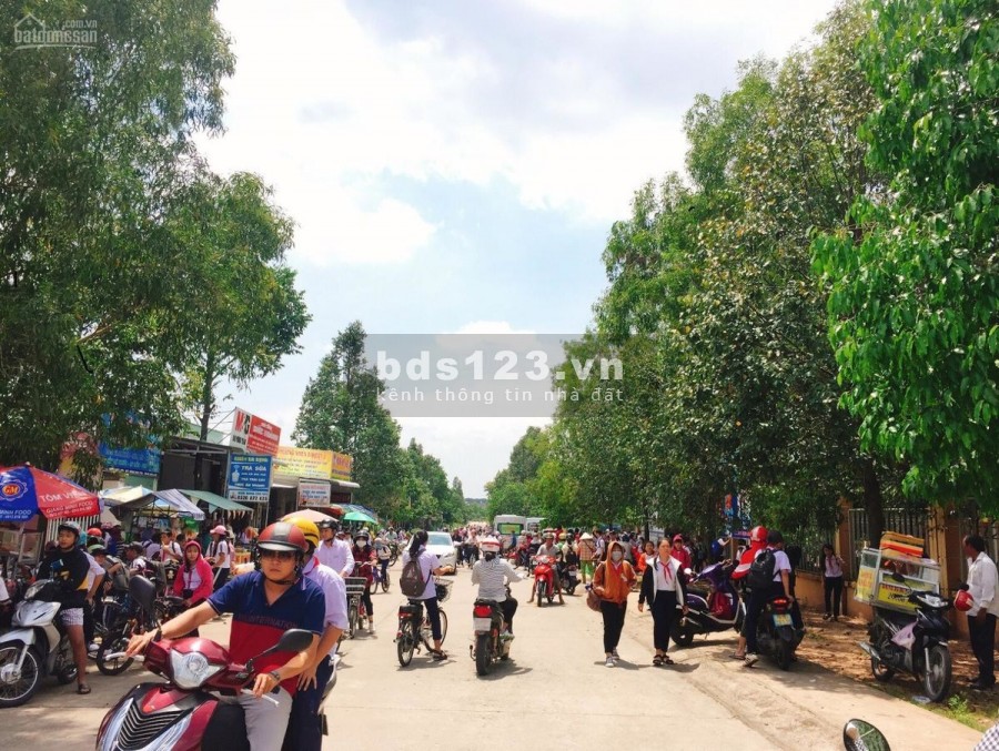 Gia Đình cần bán 2 dãy trọ gần cổng kcn Mỹ Phước 3, giá rẻ, đông dân