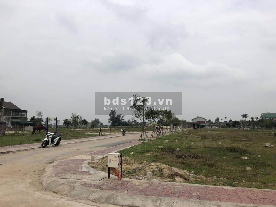 Đất đẹp khu vực thị xã Hoàng Mai – Nghệ An
