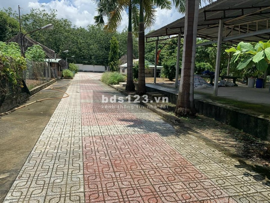 BÁN ĐẤT, CỦ CHI, PHÚ MỸ HƯNG, MẶT TIỀN ĐƯỜNG NHỰA…