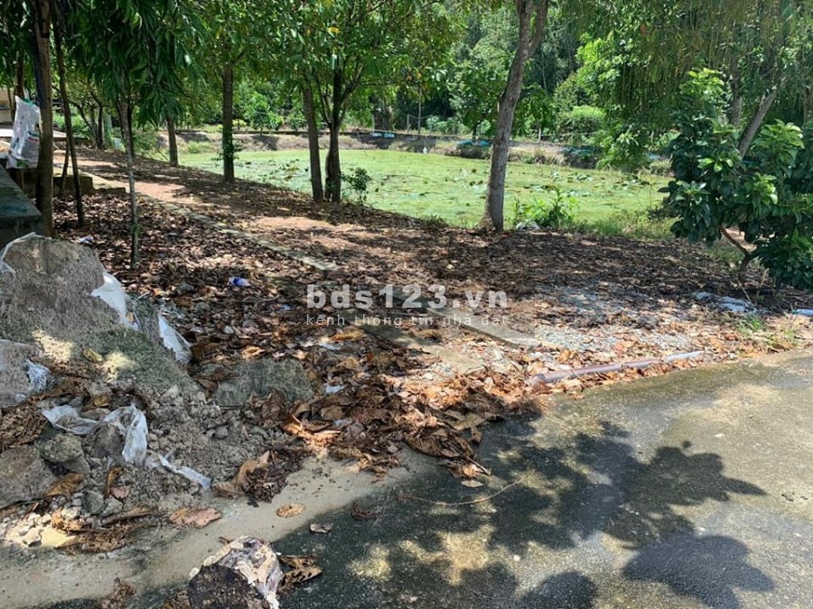 BÁN ĐẤT, CỦ CHI, PHÚ MỸ HƯNG, MẶT TIỀN ĐƯỜNG NHỰA…