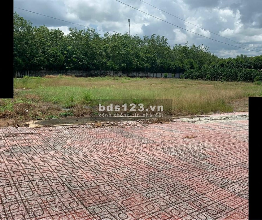 BÁN ĐẤT, CỦ CHI, PHÚ MỸ HƯNG, MẶT TIỀN ĐƯỜNG NHỰA…