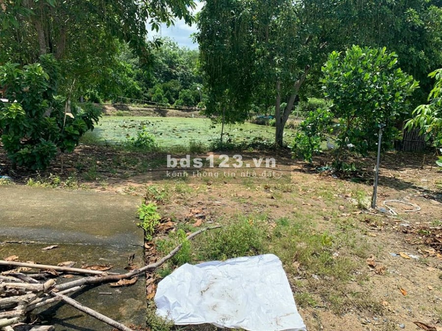 BÁN ĐẤT, CỦ CHI, PHÚ MỸ HƯNG, MẶT TIỀN ĐƯỜNG NHỰA…