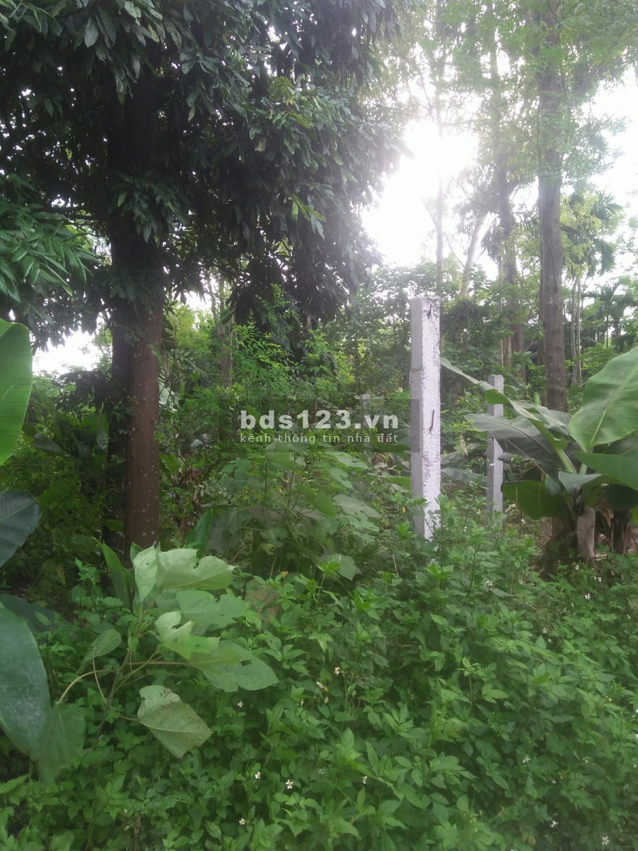 BÁN ĐẤT NGỌC THỤY 100M2, mặt tiền 5m, ô tô tránh, kinh doanh, chỉ 50tr/m2. 0977611089