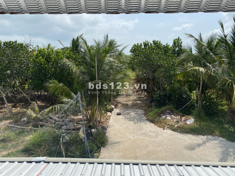 2,8 ha Vườn Cây Ăn Trái - Quy Hoạch Đường Suối Tiên Chạy qua Đất