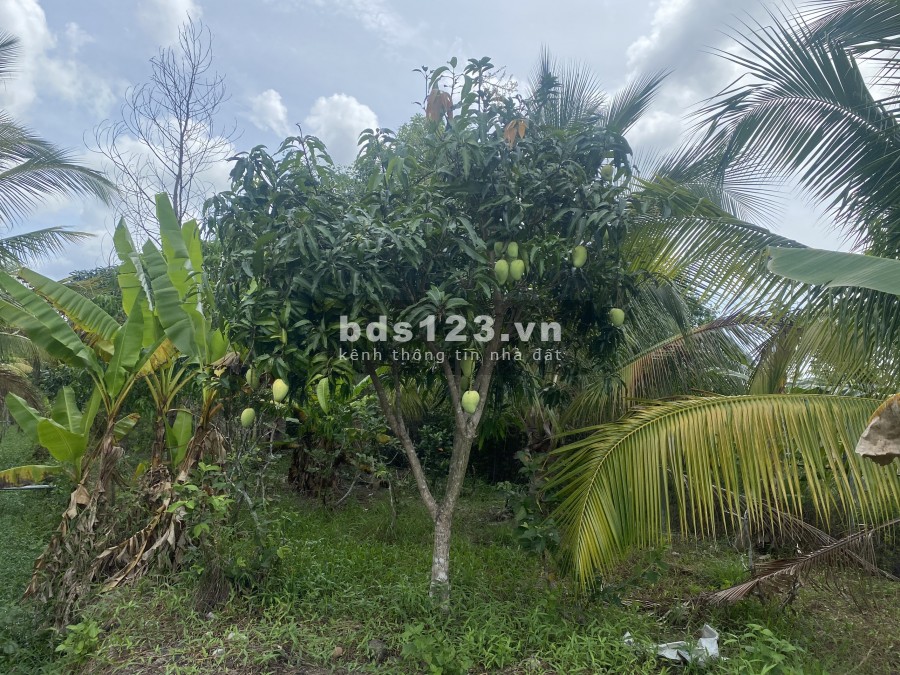 2,8 ha Vườn Cây Ăn Trái - Quy Hoạch Đường Suối Tiên Chạy qua Đất