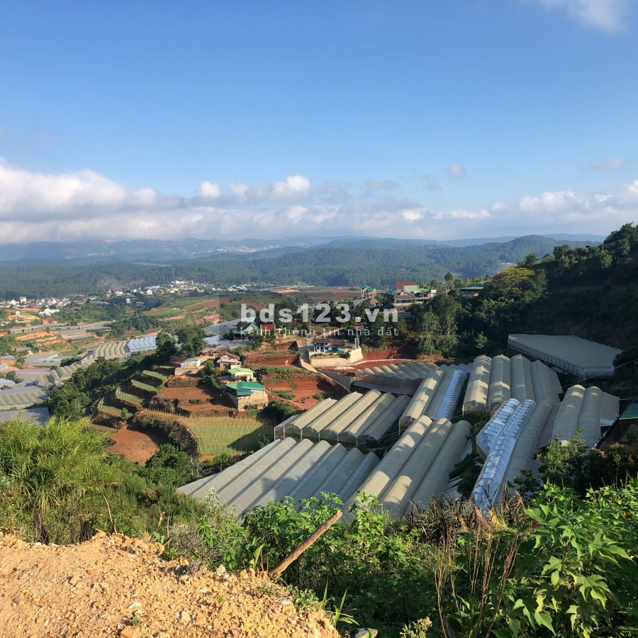 Bán đất tại Đường Xuân Thọ, Đà Lạt, Lâm Đồng diện tích 544m2 giá 8.5 Tỷ