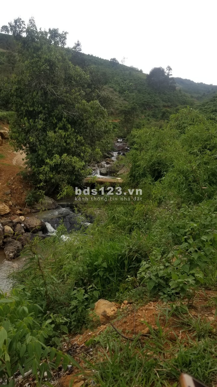 1 xào view núi Đại Bình, giá 900tr cách ql20 4km