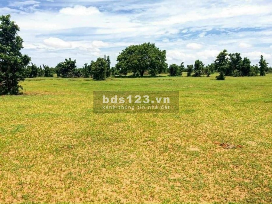 Bán lô đất 2 mặt tiền đường xe oto vô tới đất vị trí ngay QL1A và khu dân cư giá tốt
