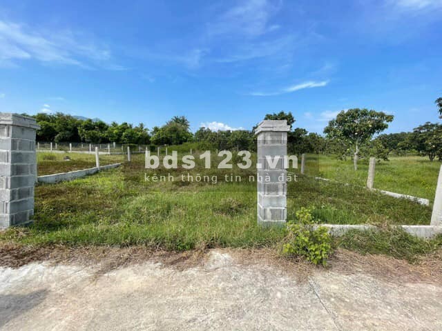 202m2 Full thổ - Từ QL1A đường nhựa vào gần