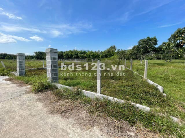 202m2 Full thổ - Từ QL1A đường nhựa vào gần