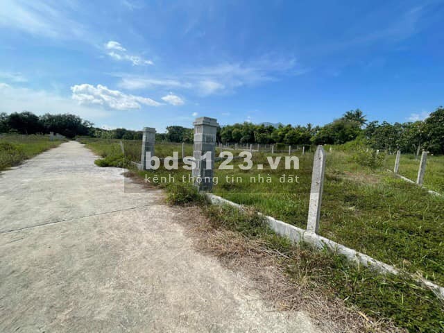 202m2 Full thổ - Từ QL1A đường nhựa vào gần