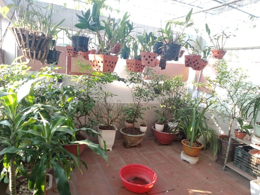 Bán Nhà Nguyễn Trãi 50m2x5T, Ngõ Rộng Thông Kinh Doanh, Mặt Tiền 4m, Nhà Đẹp Ở Ngay 5.9 Tỷ