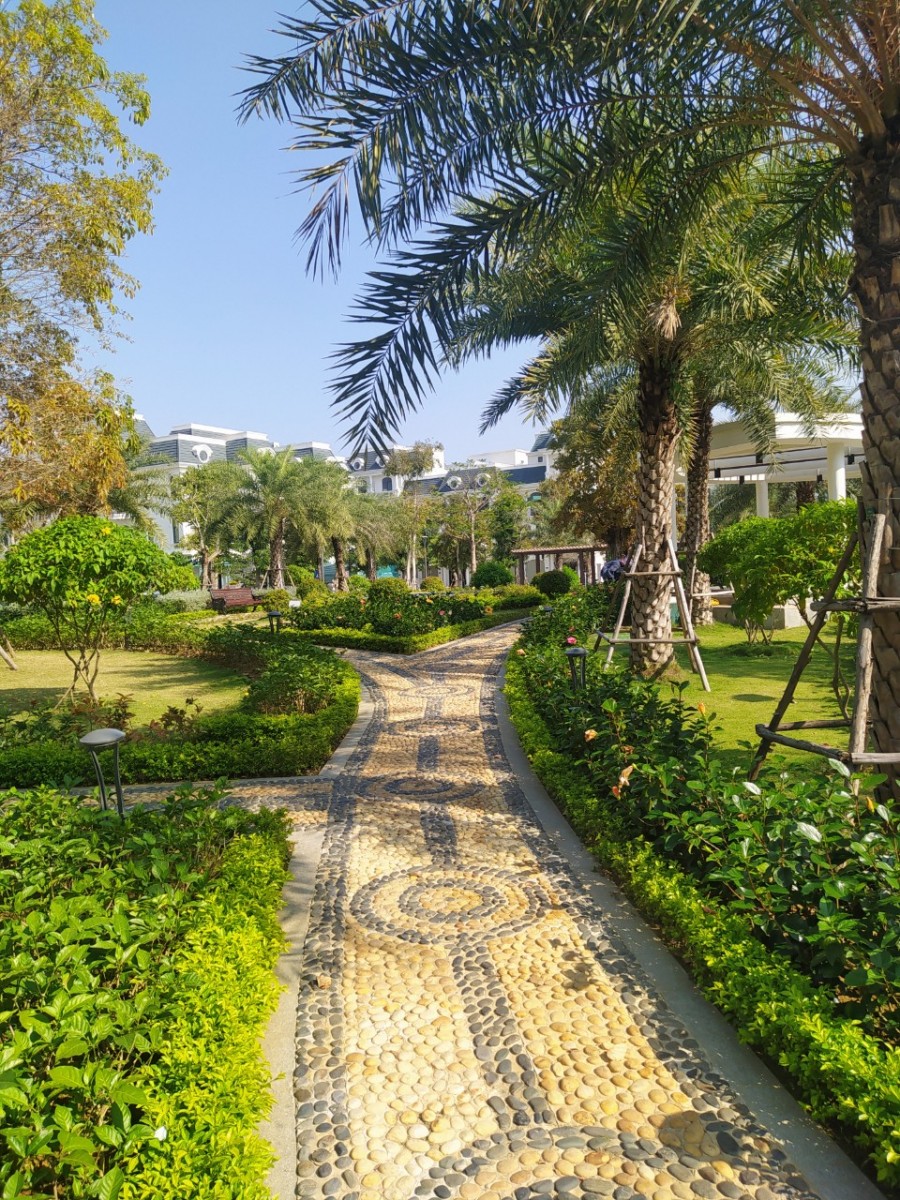 Bán căn biệt thự vị trí đẹp nhất phân khu Hoa Hồng Vinhome Star City Thanh Hóa