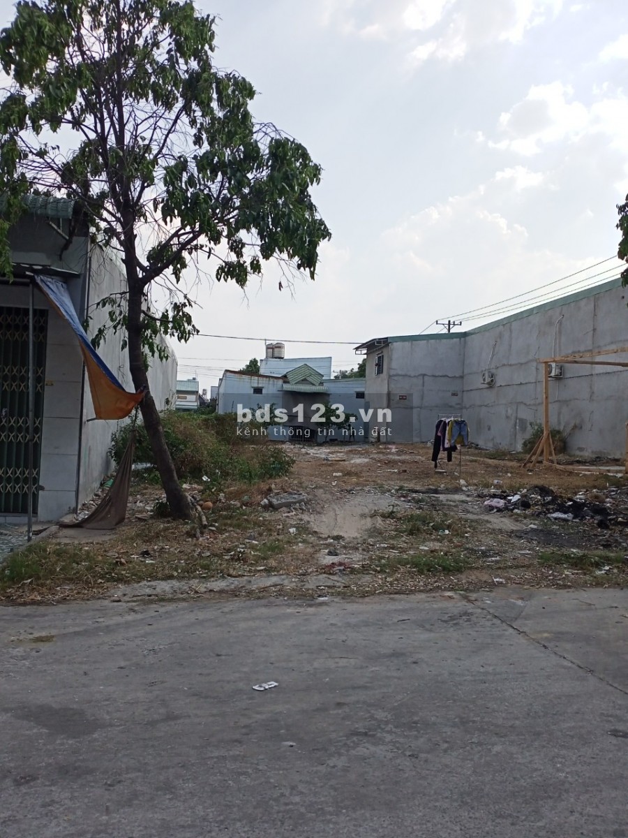 Cần bán gấp 2 miếng đất này ở Mỹ Phước 3, xây trọ phù hợp hoặc kinh doanh buôn bán