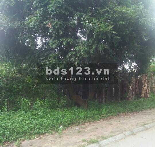 ĐẤT TƯ ĐÌNH-LONG BIÊN cho nhà đầu tư 140m2xMT10m, ô tô tránh, chỉ hơn 60tr/m2. 0977611089