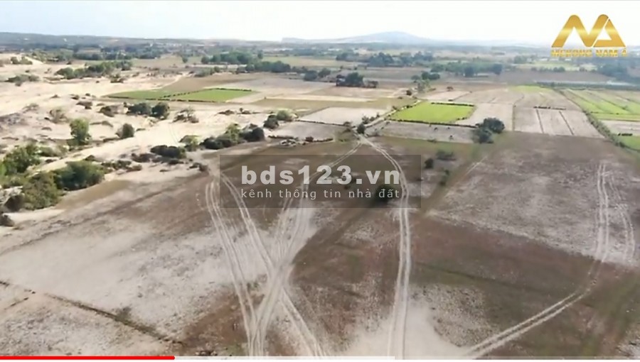 Đất vườn ven biển Bình Thuận, DT 9000m2, có sổ riêng, giá từ 70k/m2.