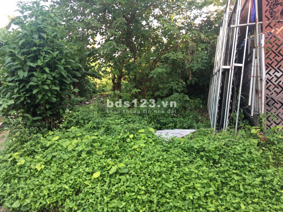 Cần bán gấp 231,6m ngách 18 ngõ Độc Lập siêu rẻ như cho