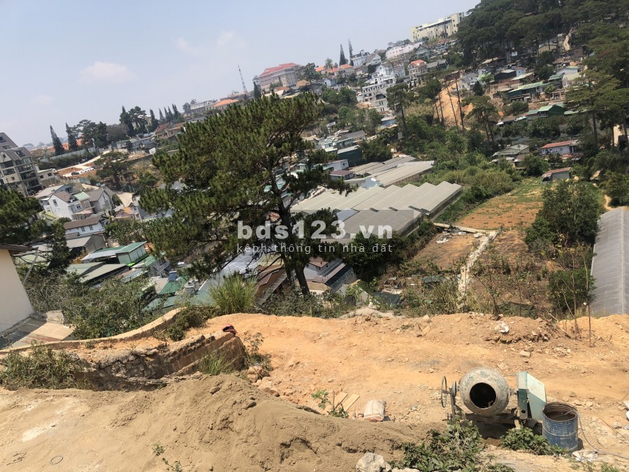Bán lô đất view rừng thông đường Đặng Thái Thân phường 3 thành phố Đà Lạt