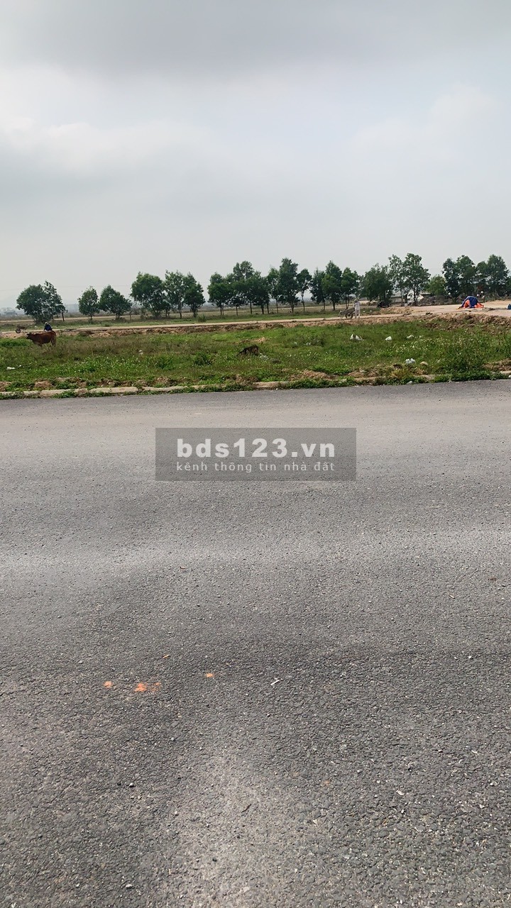 Đất Hoàng Mai vuông vắn – Sổ đỏ vĩnh viễn