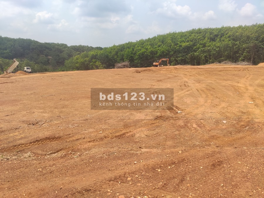 Đất Đồng Phú (SHR) 1000m2 2 mặt tiền, ngang 30 trở lên giá rẻ