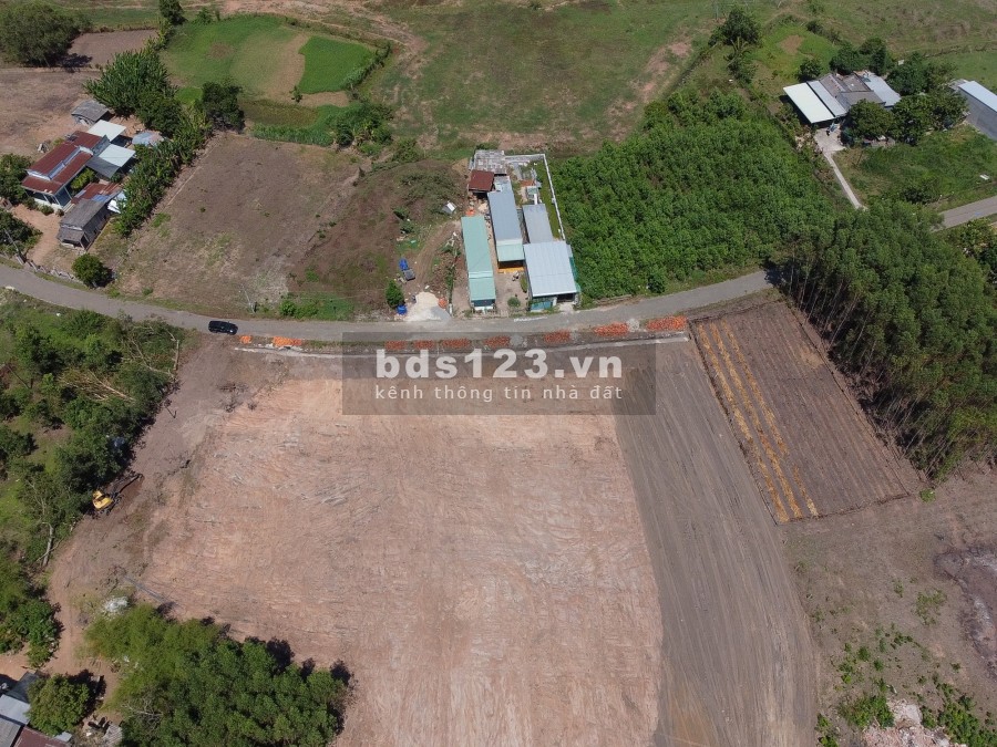 Còn vài lô MT trong khu đô thị Hồ Tràm - BRVT 5000ha, vị trí đẹp, giá F0 rất là bánh bèo, SHR