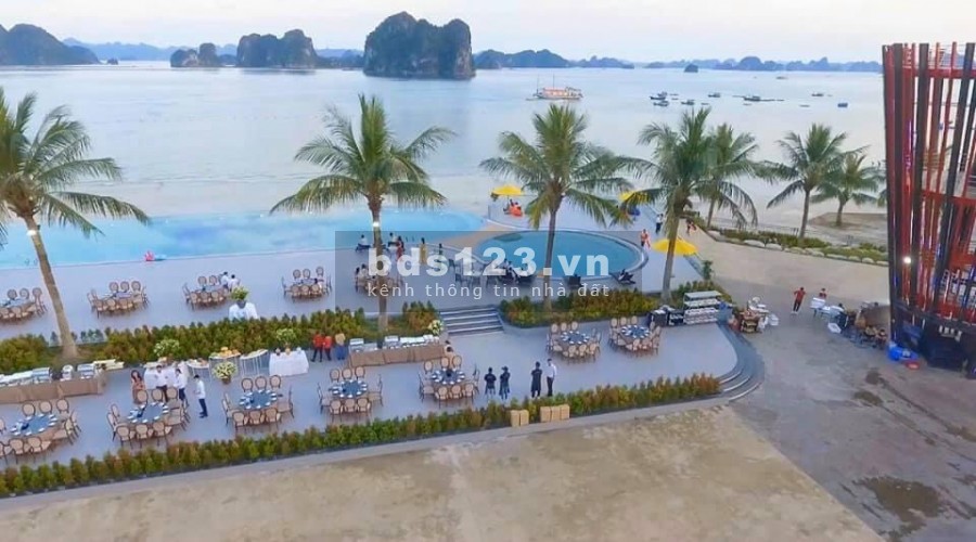 Mở Bán Quỹ Liền Kề Vip Dự án Phương Đông Vân Đồn - Giá trực tiếp Chủ Đầu Tư