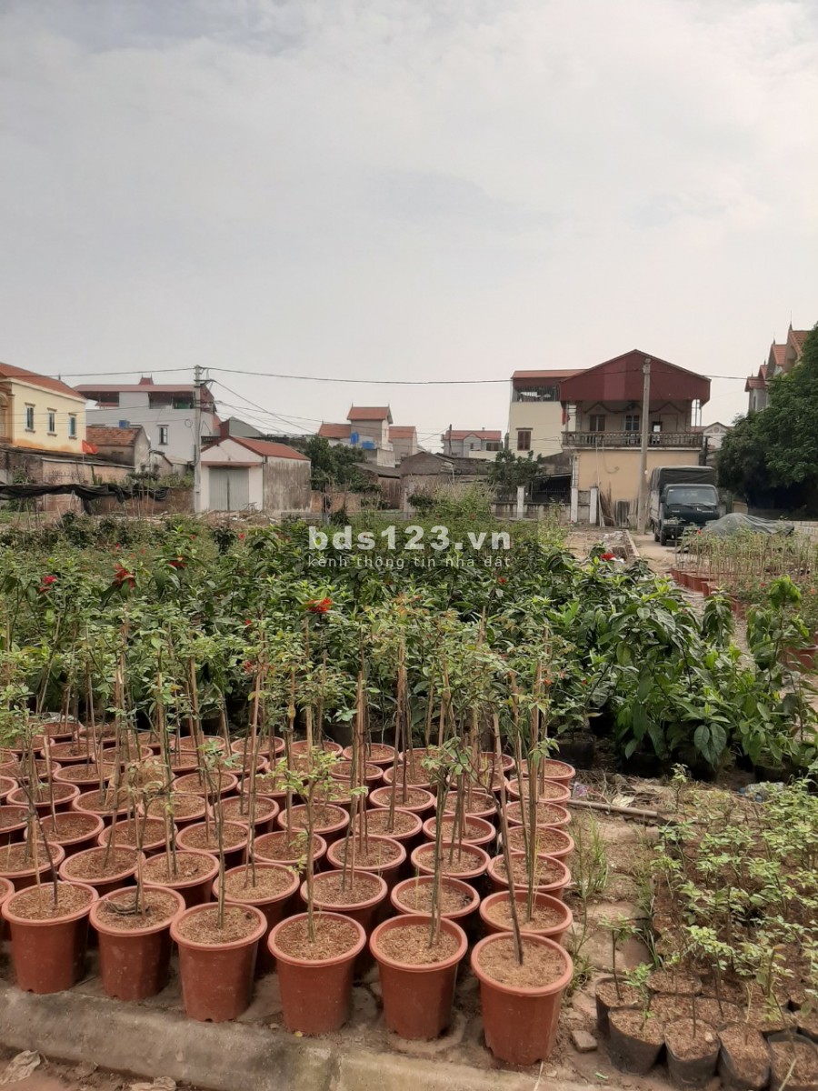 Cho thuê mặt bằng Gia Lâm kd làm xưởng, kho bãi dt 140m2, 2 mt, đường 11m view hồ Chử Xá phong thuỷ tài lộc, mặt tiền 10m, 3 ô tô tránh, đường phụ 2 ô tô tránh.
