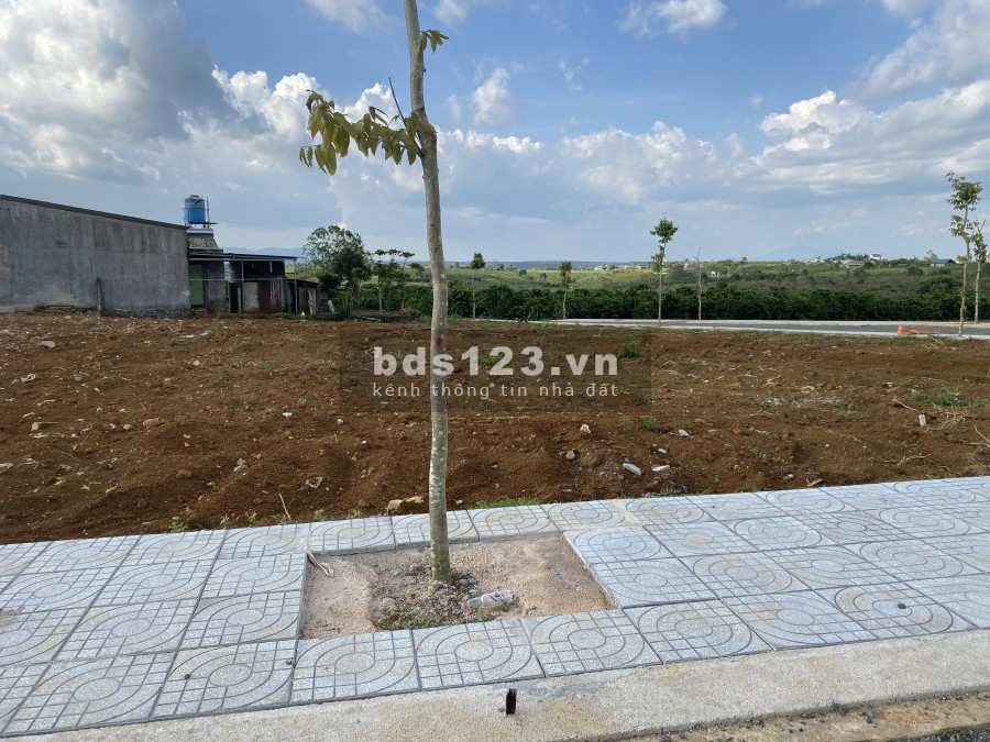 Bán Đất Thổ Cư 100% Gần Trường Học Mặt Tiền Lý Thái Tổ TP Bảo LỘc 0379 893 779