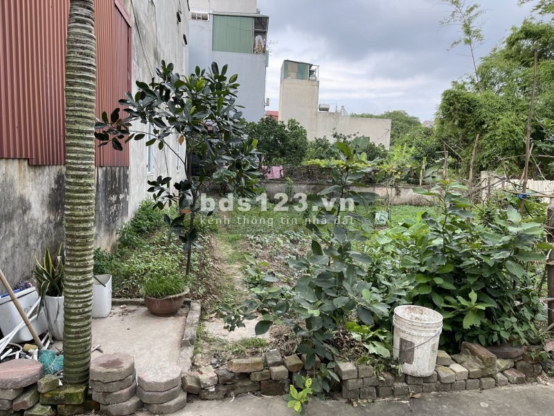Cần bán 62m2 tại ngõ 80 Hoa Lâm, tặng thêm 72m2 đất vườn, ô tô vào tận nơi.