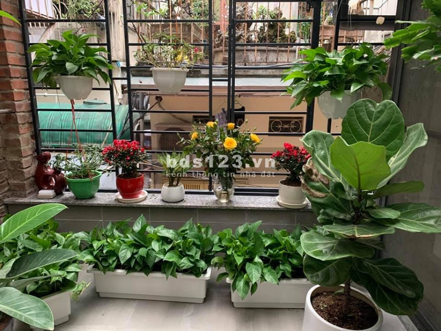 Kinh doanh sầm uất - Vỉa hè rộng phố Thanh Nhàn giá 4,5 tỉ