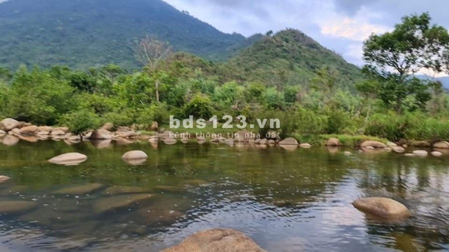 CƠ HỘI ĐẦU TƯ CỰC HẤP DẪN với Siêu phẩm 60 công đất Suối