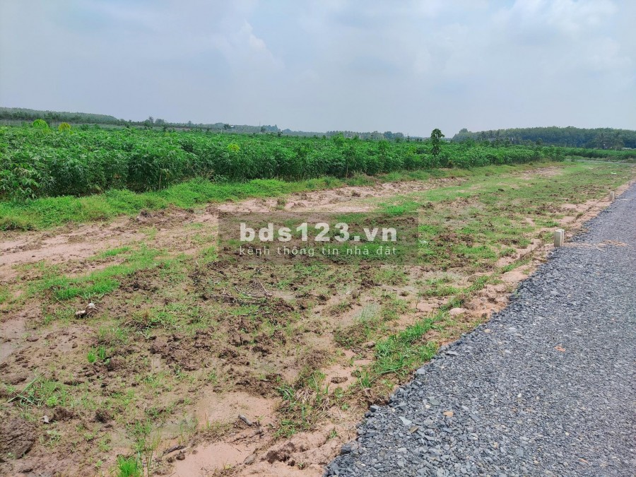 Đất ngộp Tây Ninh diện tích 1000m2