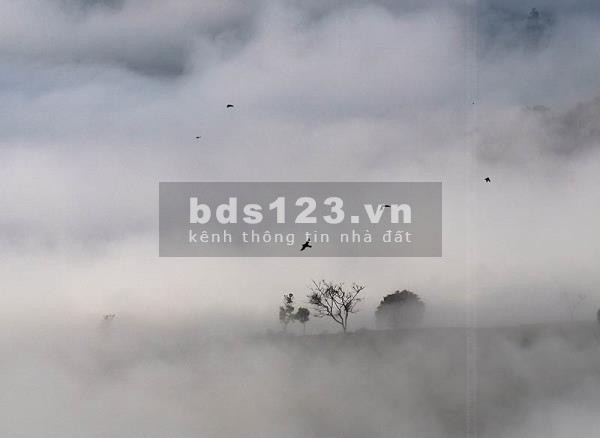 Đất xã đạmbri 525m2 3tr/m2 view vườn trái cây,cà phê