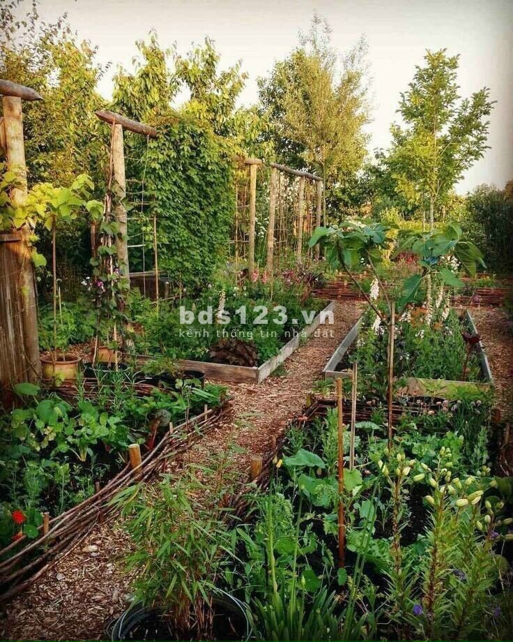 Đất xã đạmbri 525m2 3tr/m2 view vườn trái cây,cà phê