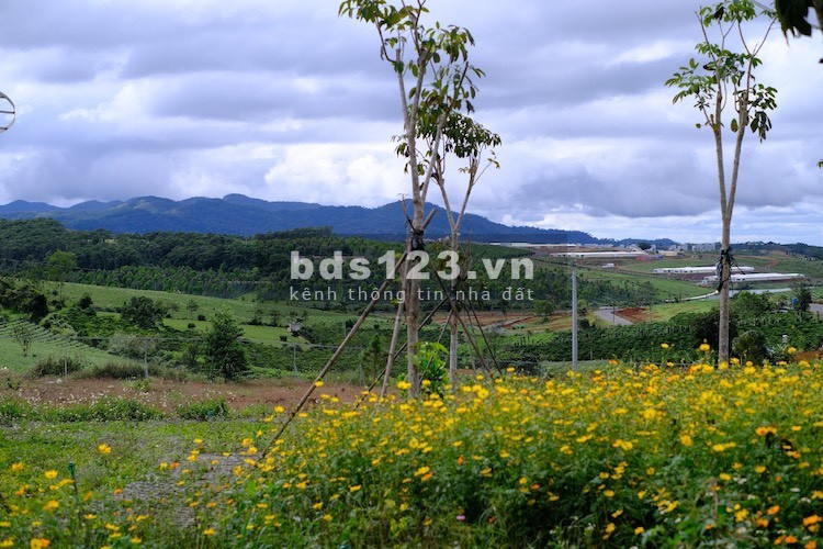 Bán đất biệt thự hoàng gia diện tích 527m2, giá 3tr/m2