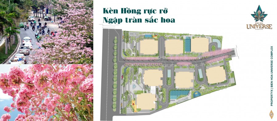Sở hữu ngay căn hộ Smarthome mật tiền xa lộ hà nội tại Tp Biên Hòa thủ phủ công nghiệp