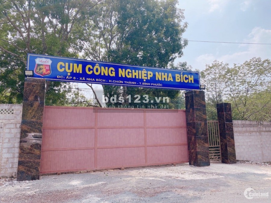CÓ LÔ ĐẤT NGANG 53M X 96M DIỆN TÍCH 5000M2 ĐỐI DIỆN KCN, SỔ HỒNG RIÊNG