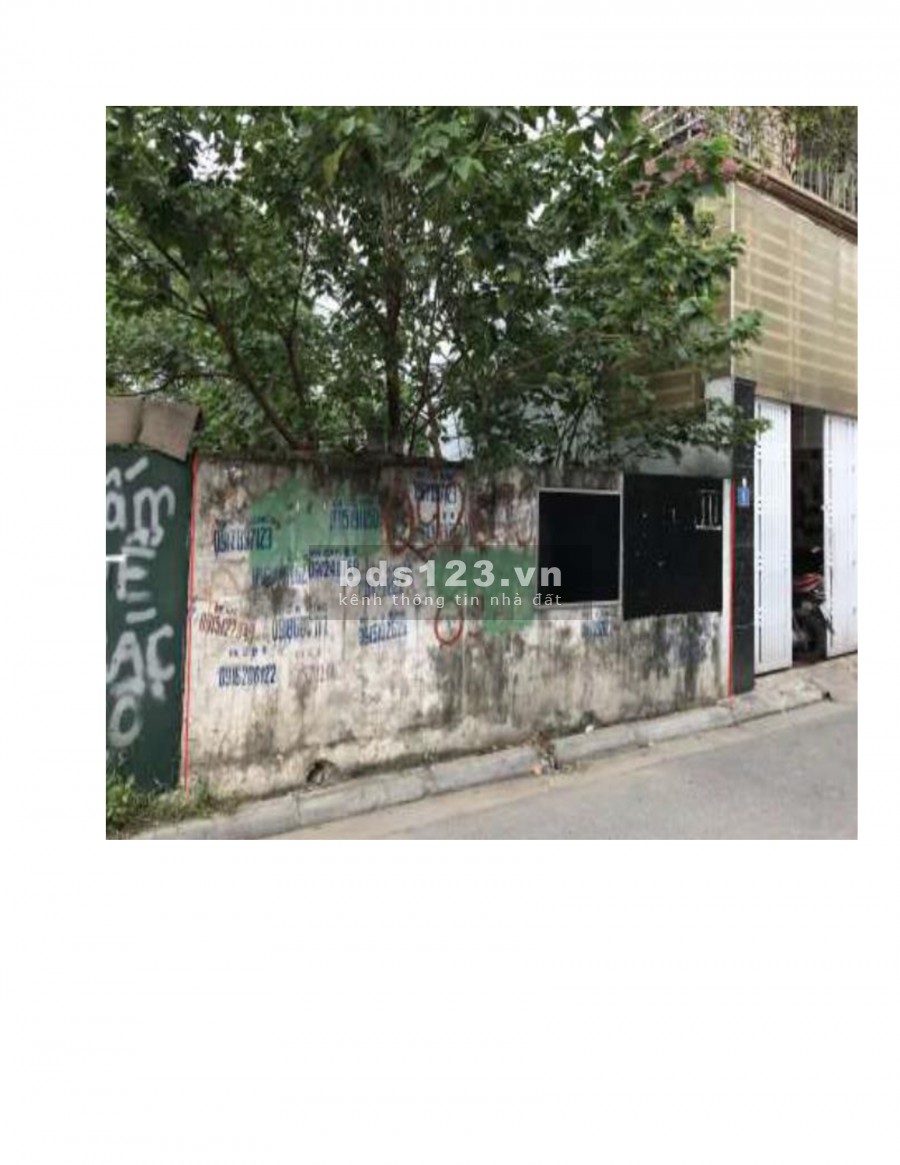 Bán đấu gia đất số 3, ngõ 87 Trường Lâm