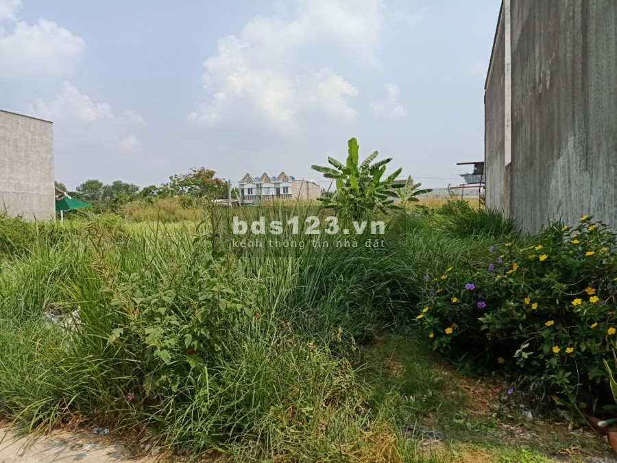 Bán đất thổ cư Long An, Cần Giuộc