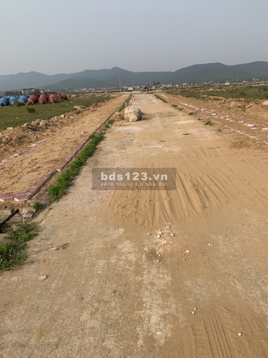 Đất đẹp Hoàng Mai cần bán ngay