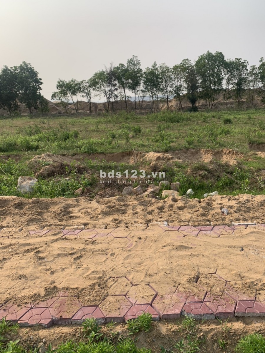 Đất đẹp Hoàng Mai cần bán ngay
