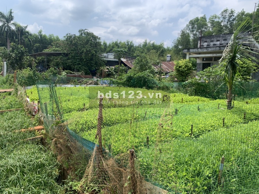 1580m2 ONT, Gần dự án Đất Xanh, Khu Công Nghệ Cao Long Thành, 1,6tr/m2