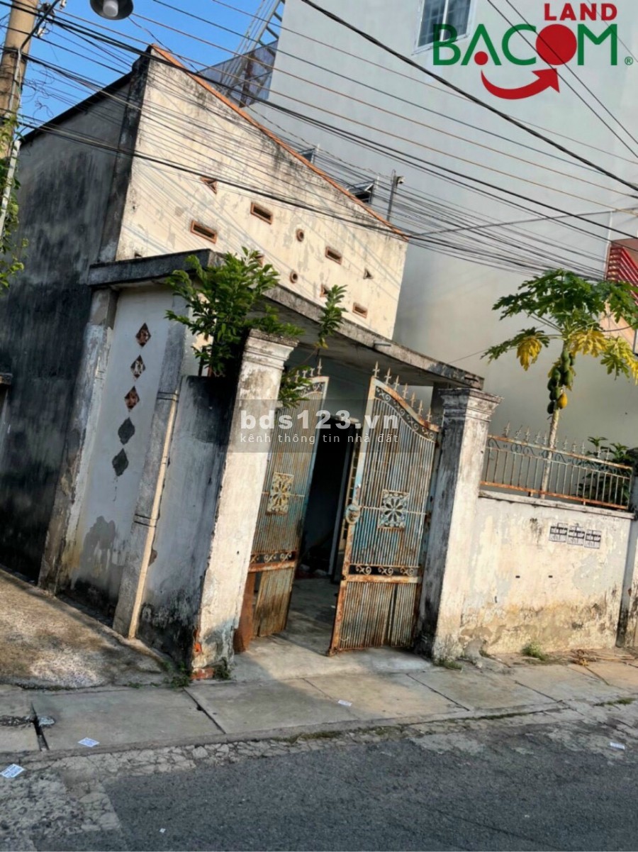 BÁN LÔ GOC 2 MẶT TIỀN ĐƯỜNG NHỰA P. TÂN MAI