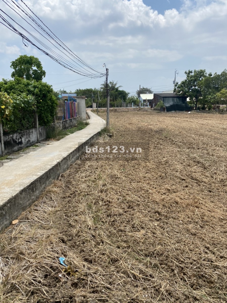 Đất Thổ Đường Ao Gòn Cần Đước Long An 400m Thổ (3Triệu/m)