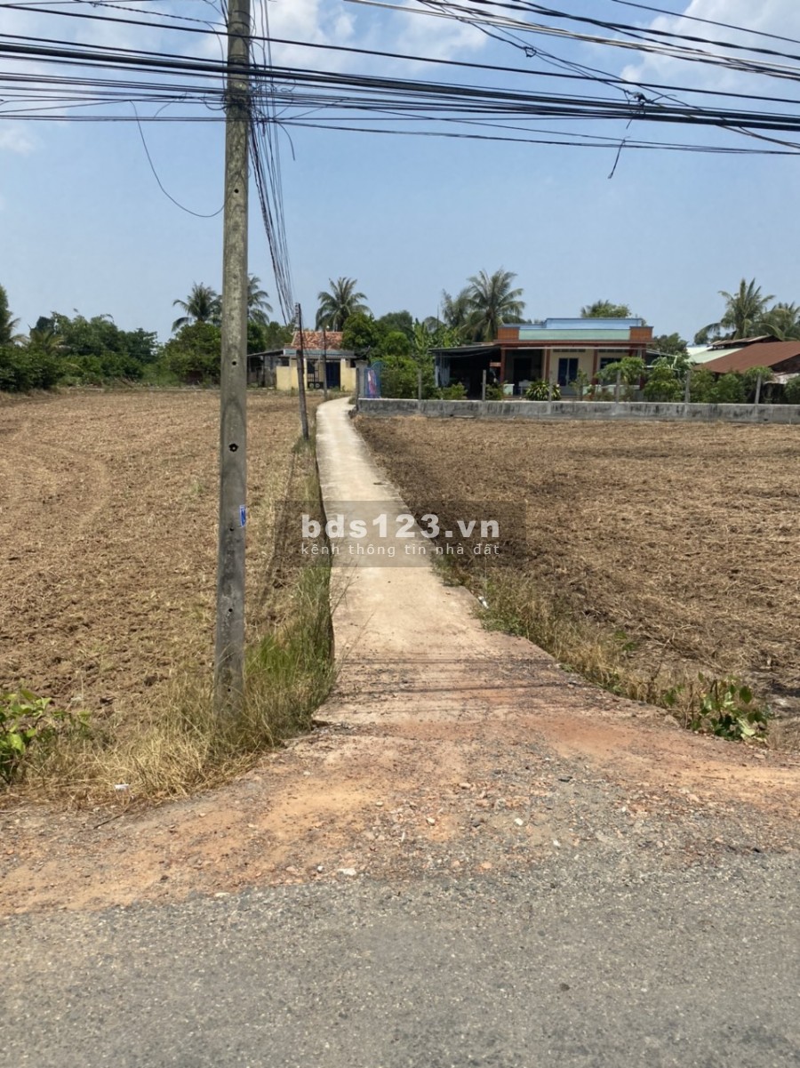 Đất Thổ Đường Ao Gòn Cần Đước Long An 400m Thổ (3Triệu/m)