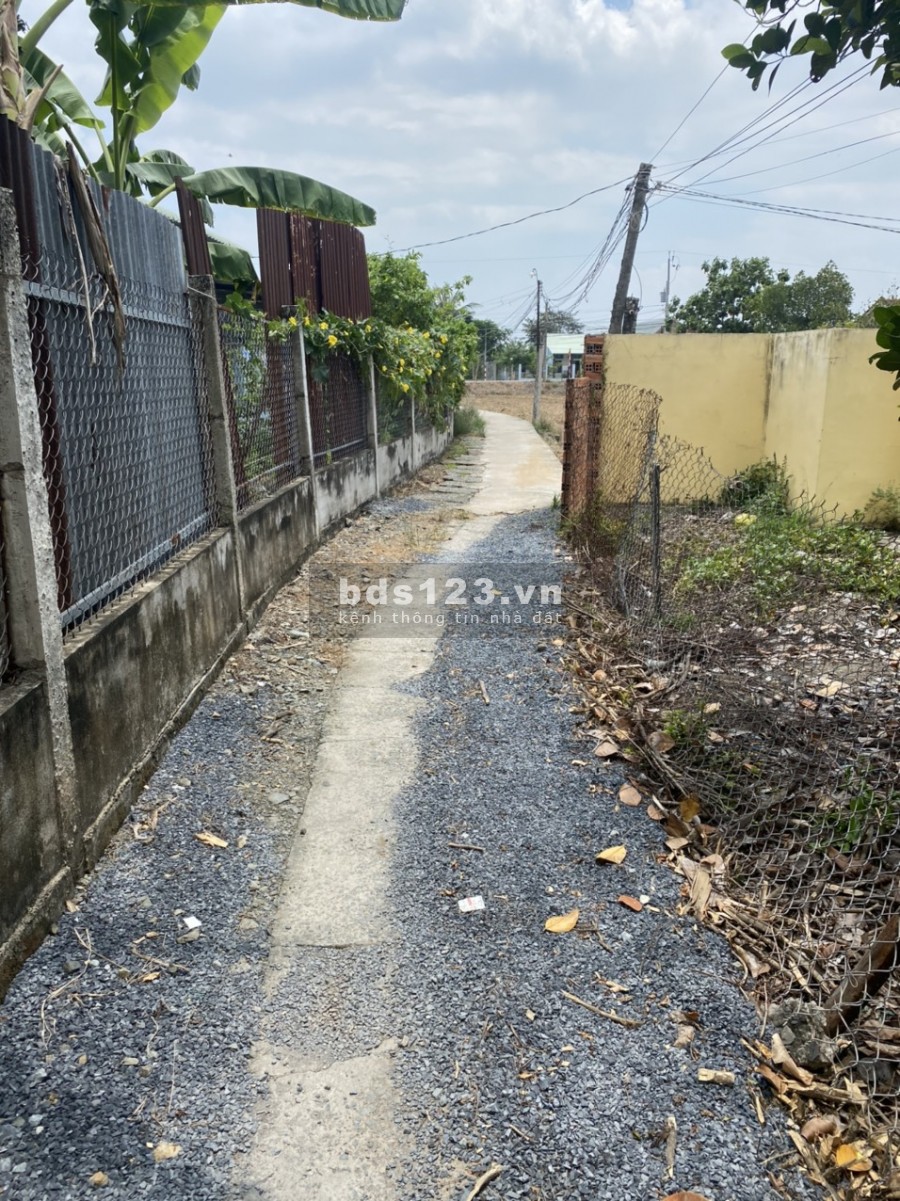 Đất Thổ Đường Ao Gòn Cần Đước Long An 400m Thổ (3Triệu/m)