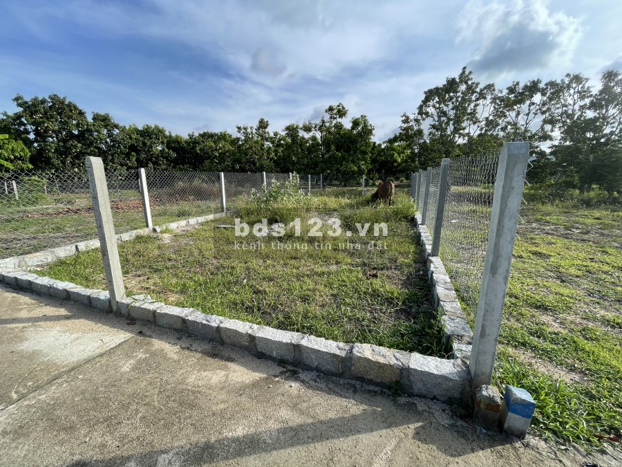 Đất ở Cam Thành Bắc sát TT Cam Đức - Vị trí đẹp
